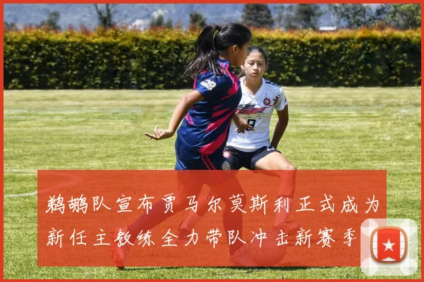 鹈鹕队宣布贾马尔莫斯利正式成为新任主教练全力带队冲击新赛季